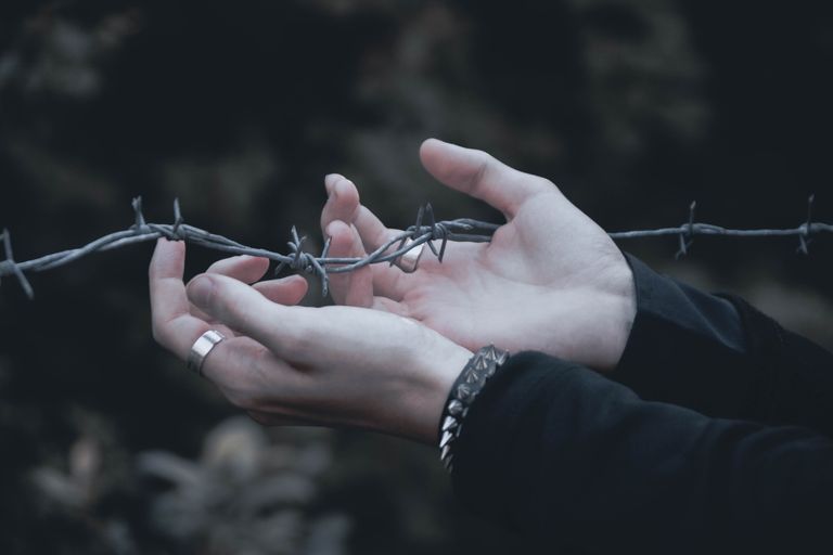 Close-up of hands gently holding barbed wire, emphasizing contrast.